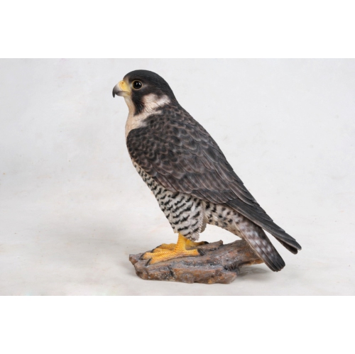 Hi-Line Gift Ltd Peregrine Falcon