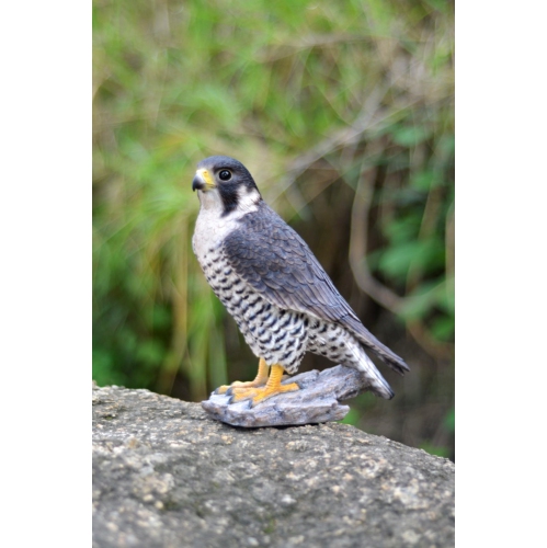 Hi-Line Gift Ltd Peregrine Falcon