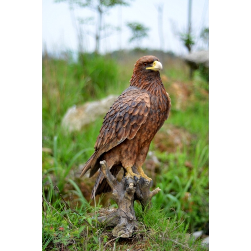 Hi-Line Gift Ltd Golden Eagle