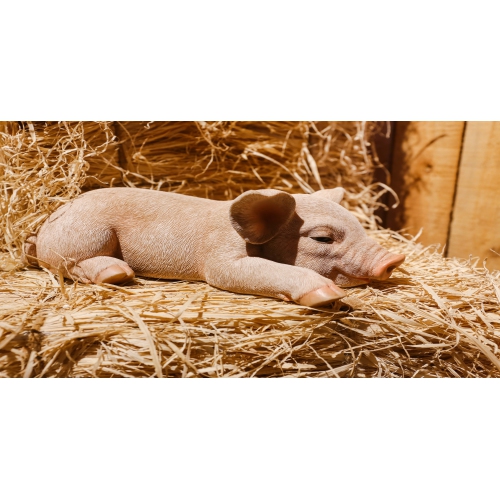 Hi-Line Gift Ltd Pig Sleeping