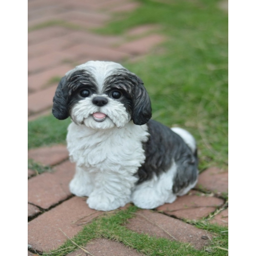 Hi-Line Gift Ltd Sitting Shih Tzu