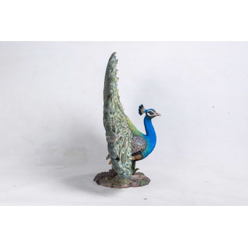 Hi-Line Gift Ltd Peacock with Feathers Out Garden Statue