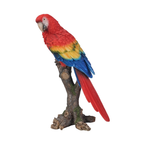 Hi-Line Gift Ltd Parrot On Branch