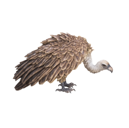 Hi-Line Gift Ltd Medium Bald Eagle