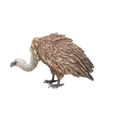 Hi-Line Gift Ltd Medium Bald Eagle