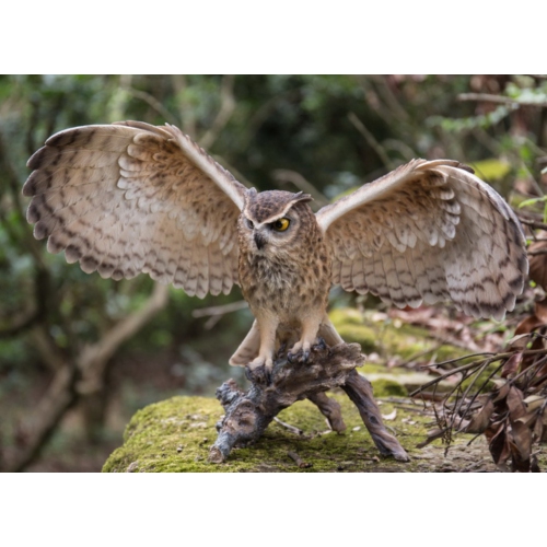 Hi-Line Gift Ltd Eagle Owl On Branch with Wings Out