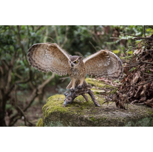 Hi-Line Gift Ltd Eagle Owl On Branch with Wings Out