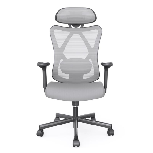FURNITURE OF AMERICA  Domie Metal And Mesh Adjustable Office Chair In In Gray