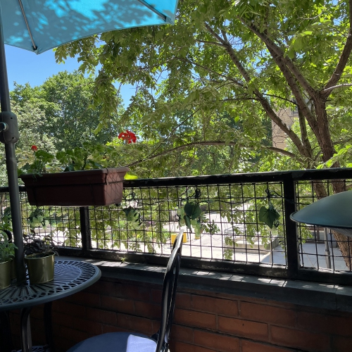 5-Count Green Grape Cluster Outdoor Patio String Light Set, 6ft Green Wire