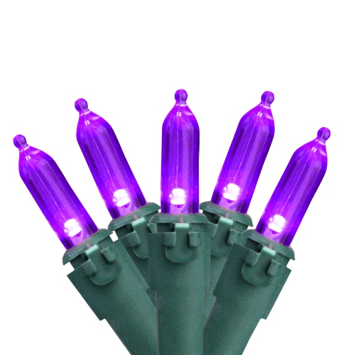 NORTHLIGHT  Set Of 50 Purple Led Mini Christmas Lights 4" Spacing - Wire In Green