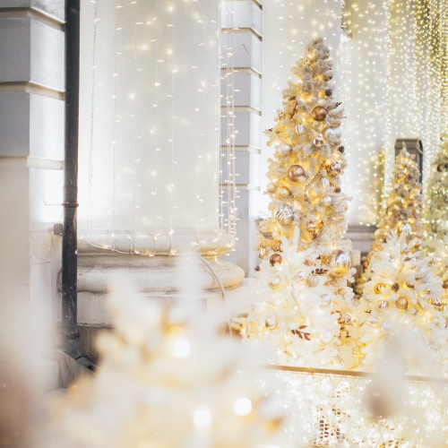 35-Count Clear Mini Christmas Light Set, 7ft White Wire