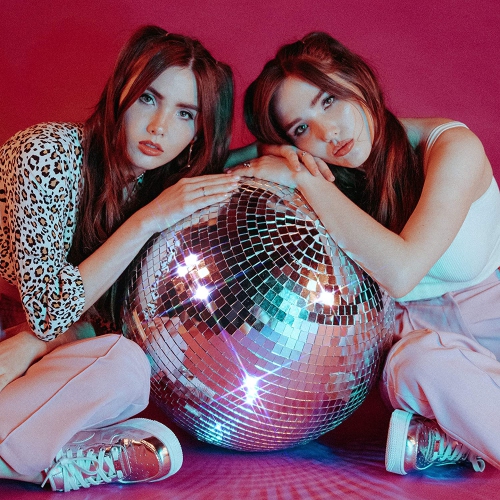 VIDCO-345  Everyone's A Critic (Vinyl) Fionn