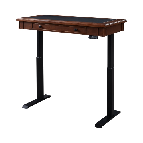 KOBLE  Danee 49.2"w Adjustable Standing Desk - In Brown