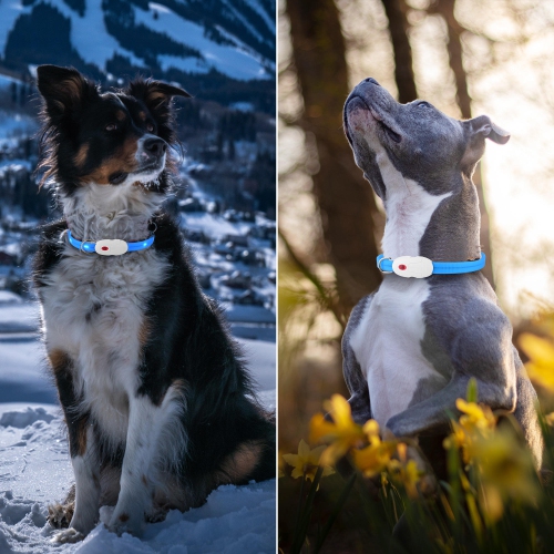 22.64 inches 360 degree LED Dog Collar - USB Rechargeable Cuttable Glowing Dog Necklace for Small Medium Large Dogs - WOMEOW