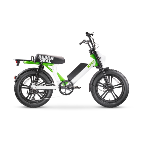 best 500w ebike