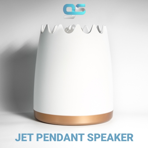 GS Pendant Speaker, White Colour, 8Ω; 70V/100V input configuration, size: 341.2*286mm