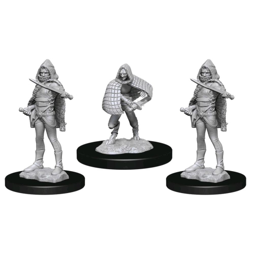 WIZKIDS GAMES  Dungeons & Dragons Nolzur's Marvelous Unpainted Miniatures: Darkling Elder & Darklings