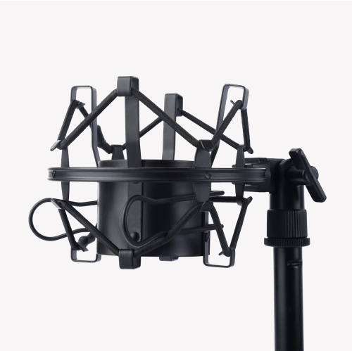 Ensemble microphone à condensateur ZINGYOU BM-800, micro-ordinateur professionnel pour enregistrement et diffusion en studio avec micro-siphon