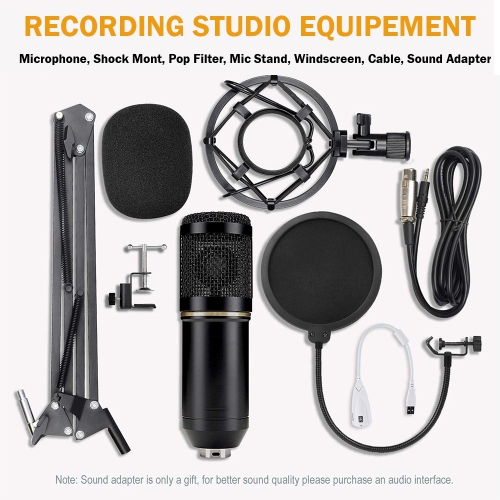 Ensemble microphone à condensateur ZINGYOU BM-800, micro-ordinateur professionnel pour enregistrement et diffusion en studio avec micro-siphon
