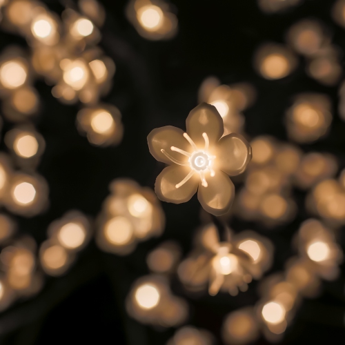 Hi-Line Gift Ltd Floral Lights- Outdoor Cherry Blossom Tree 160Warm White LED(Hi-Line Exclusive)(Hi-Line EXCLUSIVE)