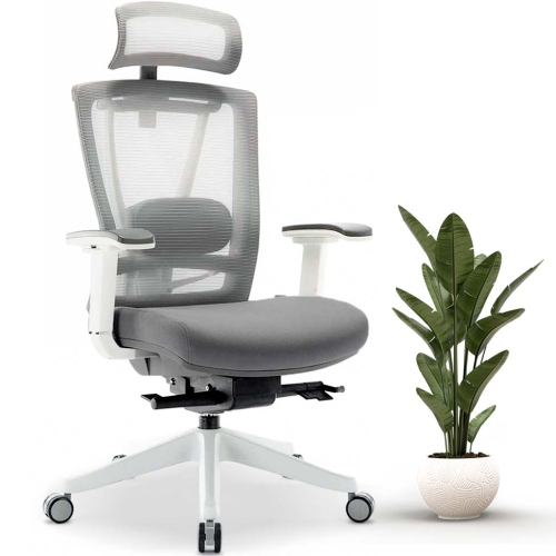 MotionGrey Cloud Mesh Series Executive Ergonomic Computer Desk Home Office Chair with 4D Armrest & Lumbar Support - White