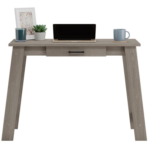 Sauder Beginnings Engineered Wood Writing Desk in Silver Sycamore