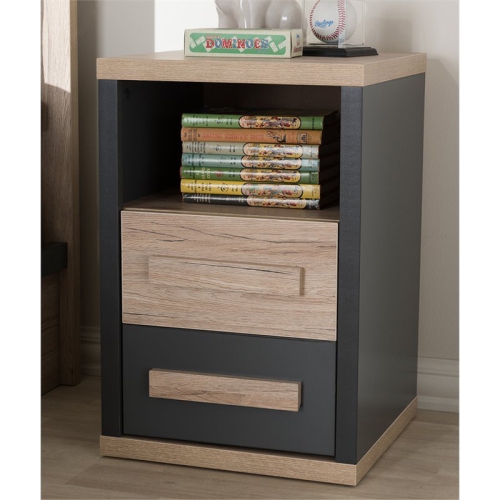 Bowery Hill 2 Drawer Nightstand in Gray and Oak Brown