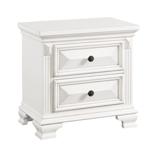 Bowery Hill Contemporary 2-Drawer Nightstand in White