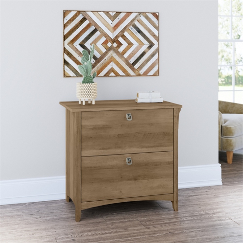 Bush Furniture Salinas 2 Drawer File Cabinet in Reclaimed Pine