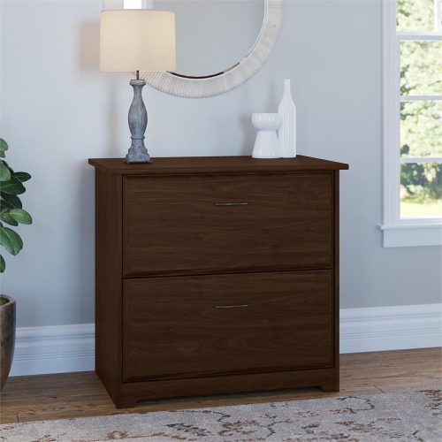 Cabot 2 Drawer Lateral File Cabinet in Modern Walnut - Engineered Wood