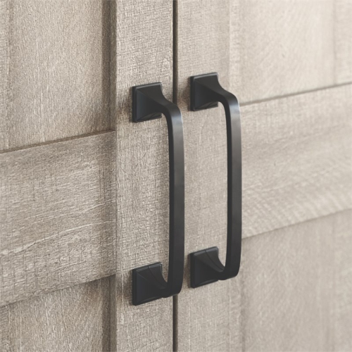 Sauder Engineered Wood 2-Door Storage Cabinet in Spring Maple