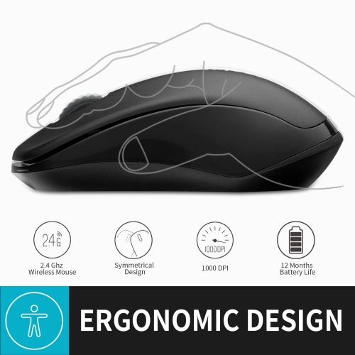 RAPOO 1680 2.4G Quiet Wireless Mouse, Portable USB Receiver, Long Range and Battery Life, Suitable for Desktop Computers Lap