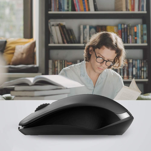 RAPOO 1680 2.4G Quiet Wireless Mouse, Portable USB Receiver, Long Range and Battery Life, Suitable for Desktop Computers Lap