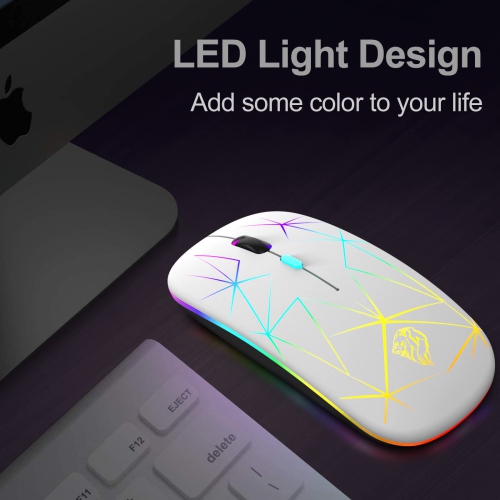 Wireless Mouse,Slim Rechargeable Bluetooth Mouse,Led Dual Mode(Bluetooth 5.1+2.4G) Silent Mouse with USB Receiver and Type C