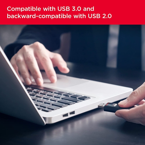 SanDisk 256GB Ultra USB 3.0 Flash Drive -
