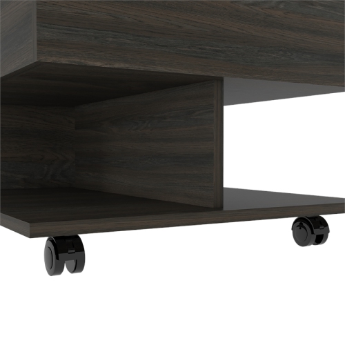 TUHOME Luanda Lift Top Coffee Table Engineered Wood Coffee Tables in Brown