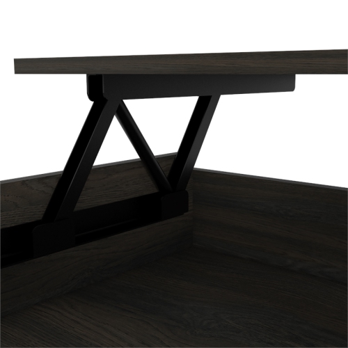 TUHOME Luanda Lift Top Coffee Table Engineered Wood Coffee Tables in Brown