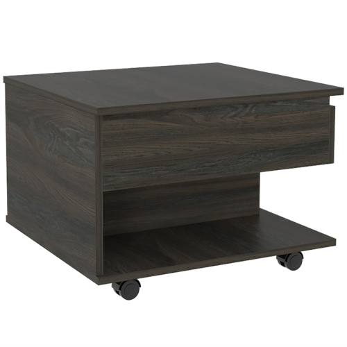 TUHOME Luanda Lift Top Coffee Table Engineered Wood Coffee Tables in Brown