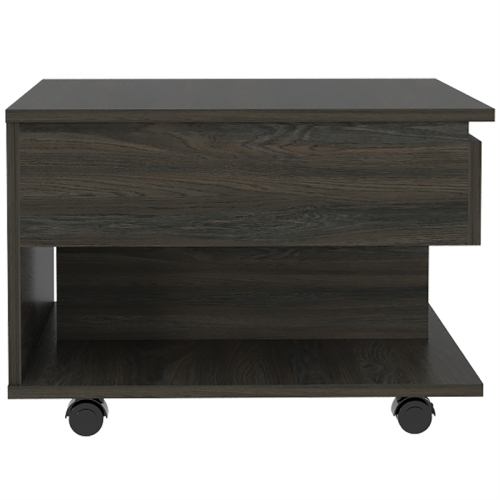 TUHOME Luanda Lift Top Coffee Table Engineered Wood Coffee Tables in Brown