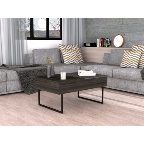 TUHOME Beyond Lift Top Coffee Table Engineered Wood in Multi-color