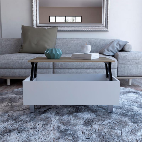 TUHOME Gambia Lift Top Coffee Table Engineered Wood Coffee Tables in White