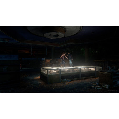 Image 12 of 12.. The Last of Us: Part I