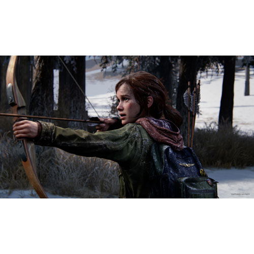 Image 5 of 12.. The Last of Us: Part I