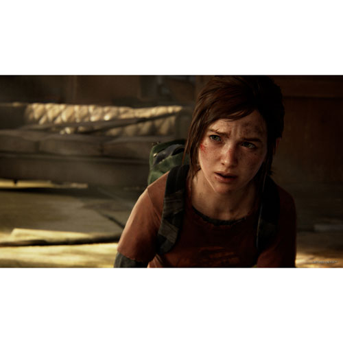 Image 8 of 12.. The Last of Us: Part I