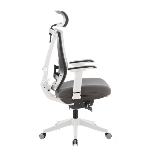 ErgoChair Executive Home Office Desk Chair with Lumbar Support 4D Armrest Adjustable Task Chair - White