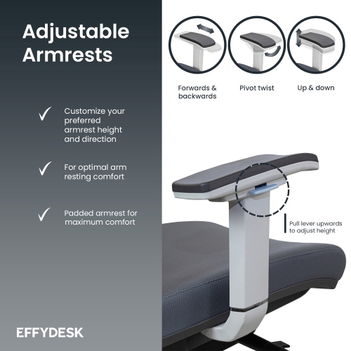 ErgoChair Executive Home Office Desk Chair with Lumbar Support 4D Armrest Adjustable Task Chair - White