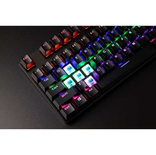 RAPOO V500PRO Mechanical Gaming Keyboard, RGB LED Rainbow Backlit Wired Keyboard with Blue Switches for Windows Gaming PC (1