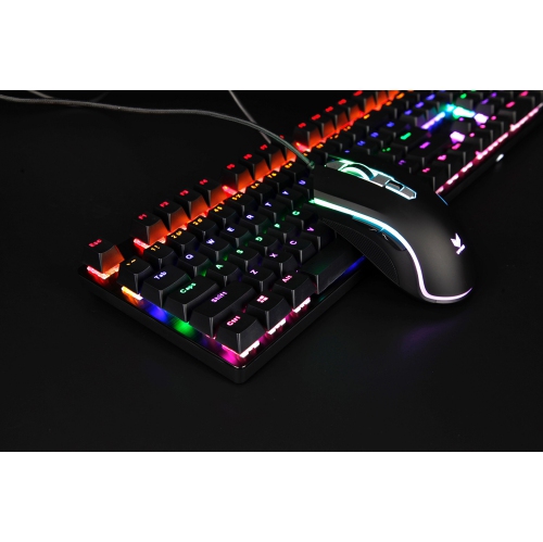 RAPOO V500PRO Mechanical Gaming Keyboard, RGB LED Rainbow Backlit Wired Keyboard with Blue Switches for Windows Gaming PC (1