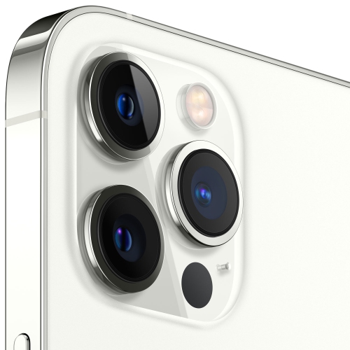 Remis à neuf - iPhone 12 Pro Max de 256 Go d’Apple - Argenté - Déverrouillé