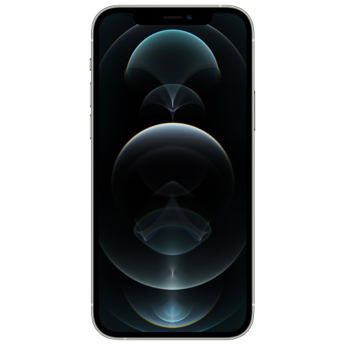 Remis à neuf - iPhone 12 Pro de 128 Go d’Apple - Argenté - Déverrouillé